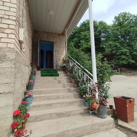 Guest House Kyzyl Alma Arkit Exterior photo